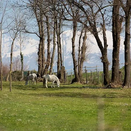 Di Como, Griante - * Cadenabbia