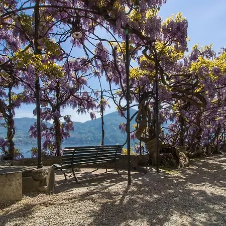 Di Como, Griante - * Cadenabbia